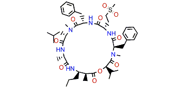 Carriebowmide sulfone